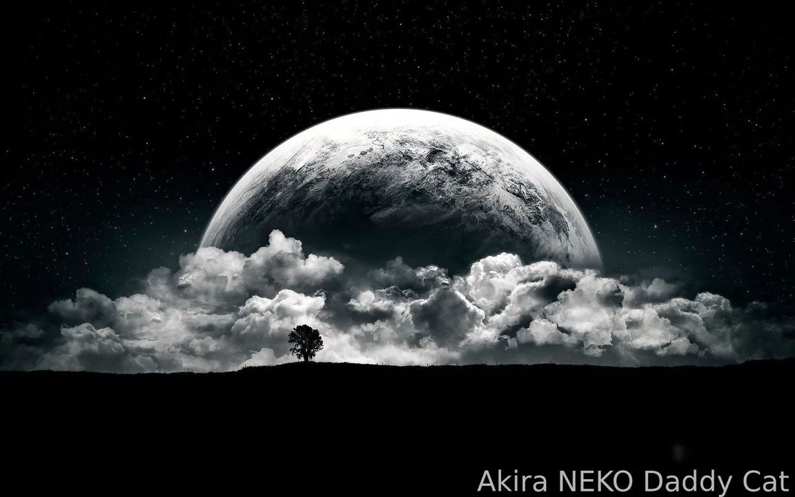 Akira_NEKO — photo 2