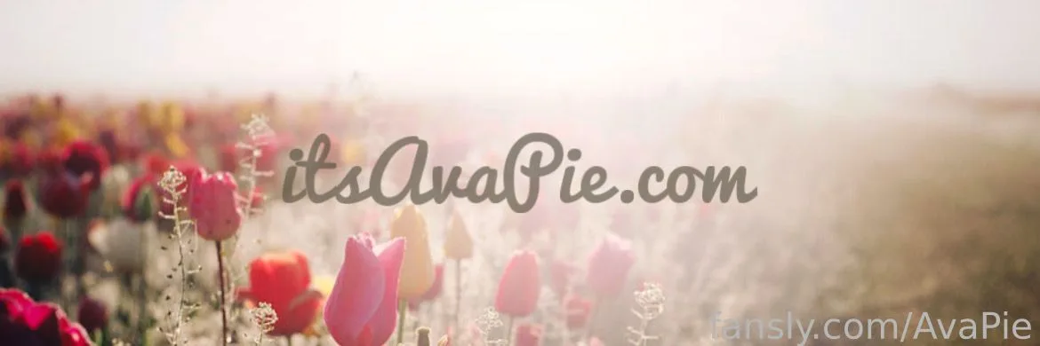 AvaPie — photo 2