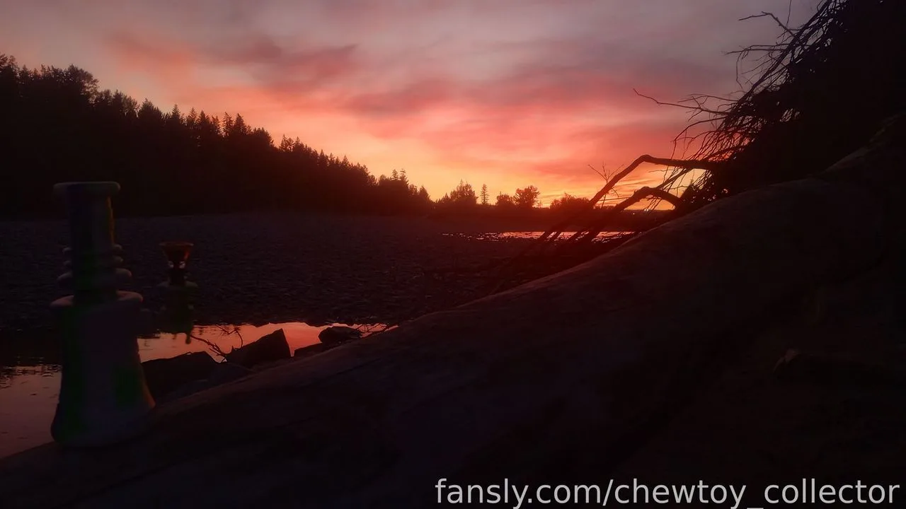 chewtoy_collector — photo 2