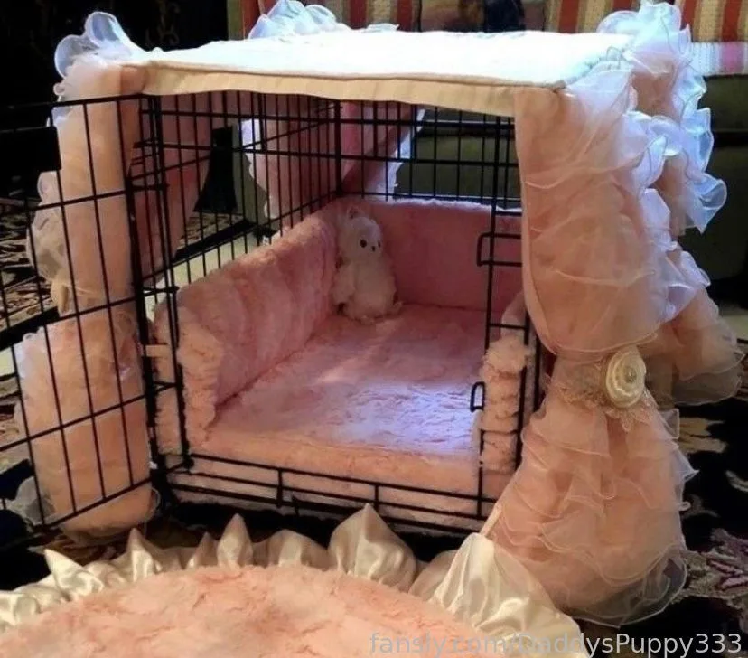 DaddysPuppy333 — photo 2