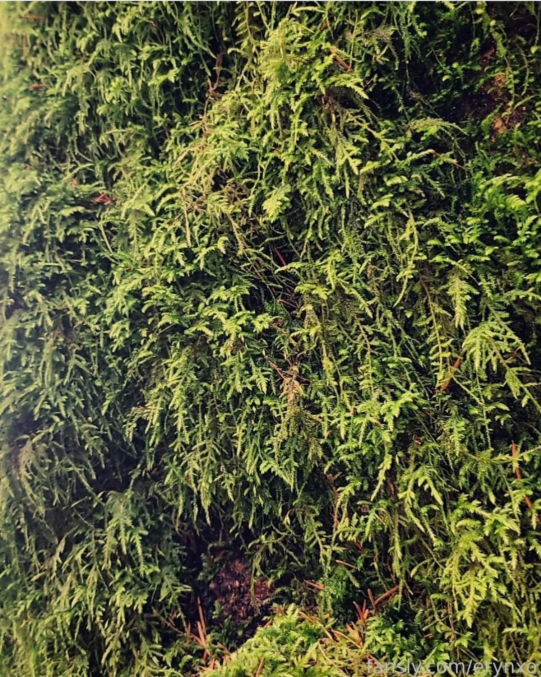 erynxo — photo 2