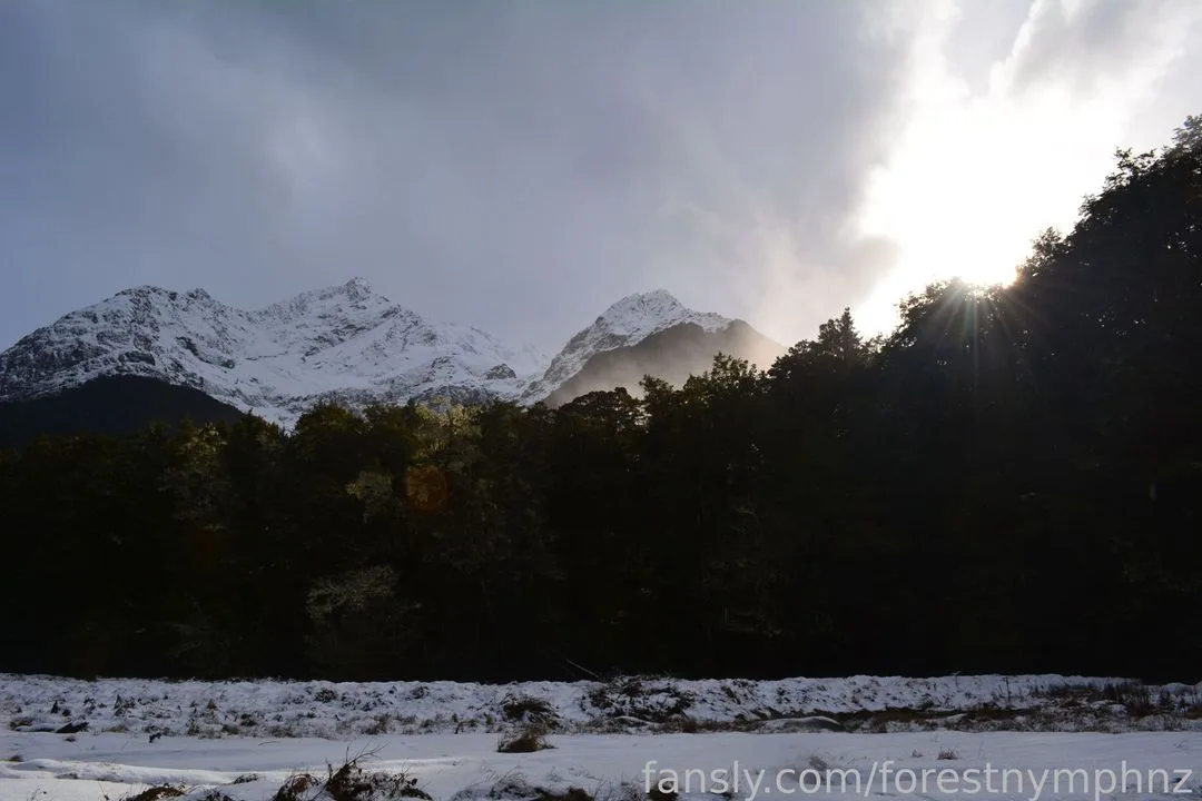 forestnymphnz — photo 2