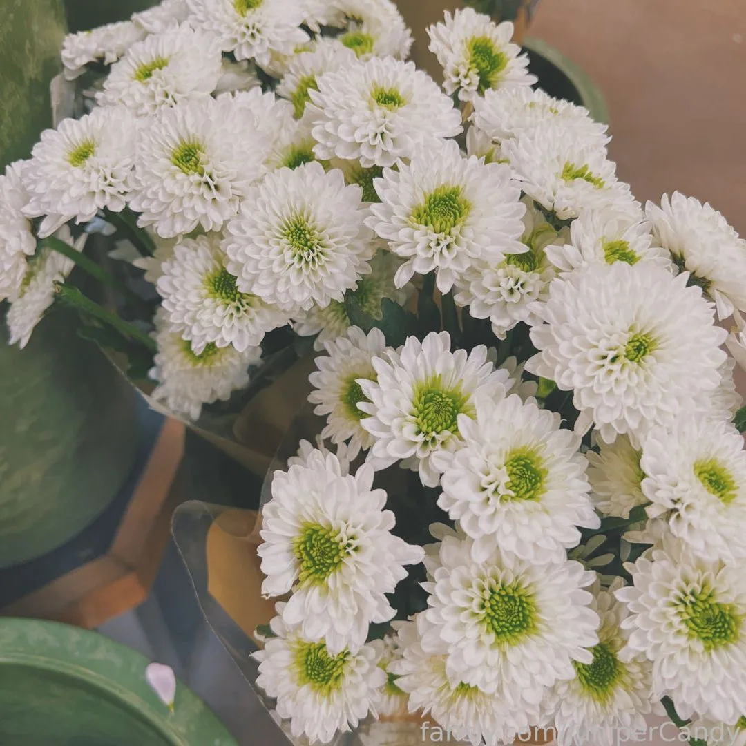 JuniperCandy — photo 2