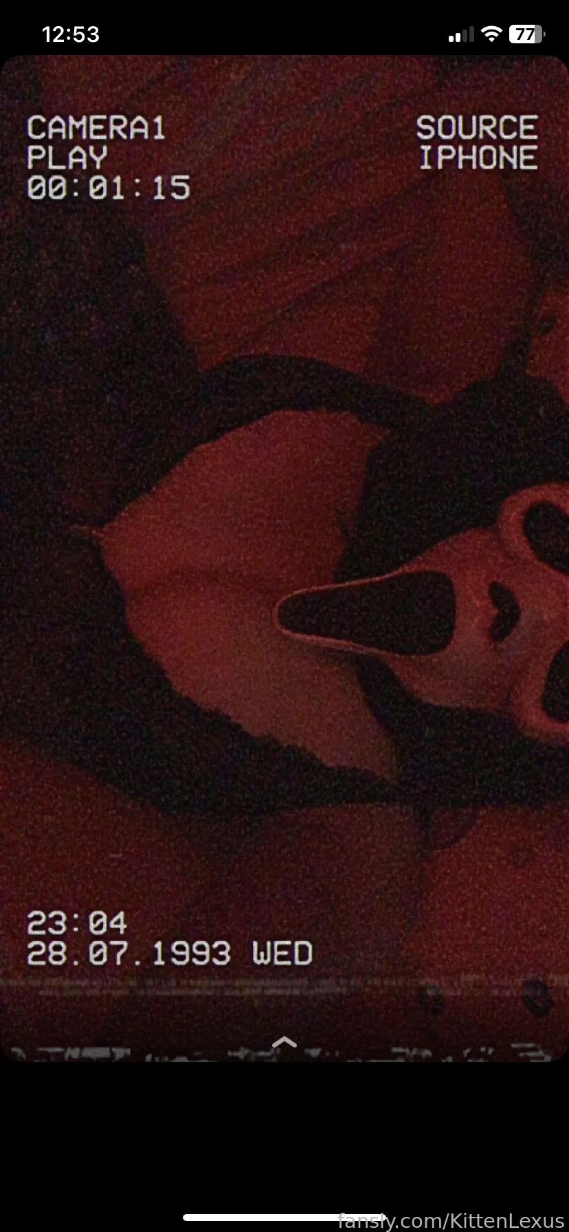 KittenLexus — photo 2