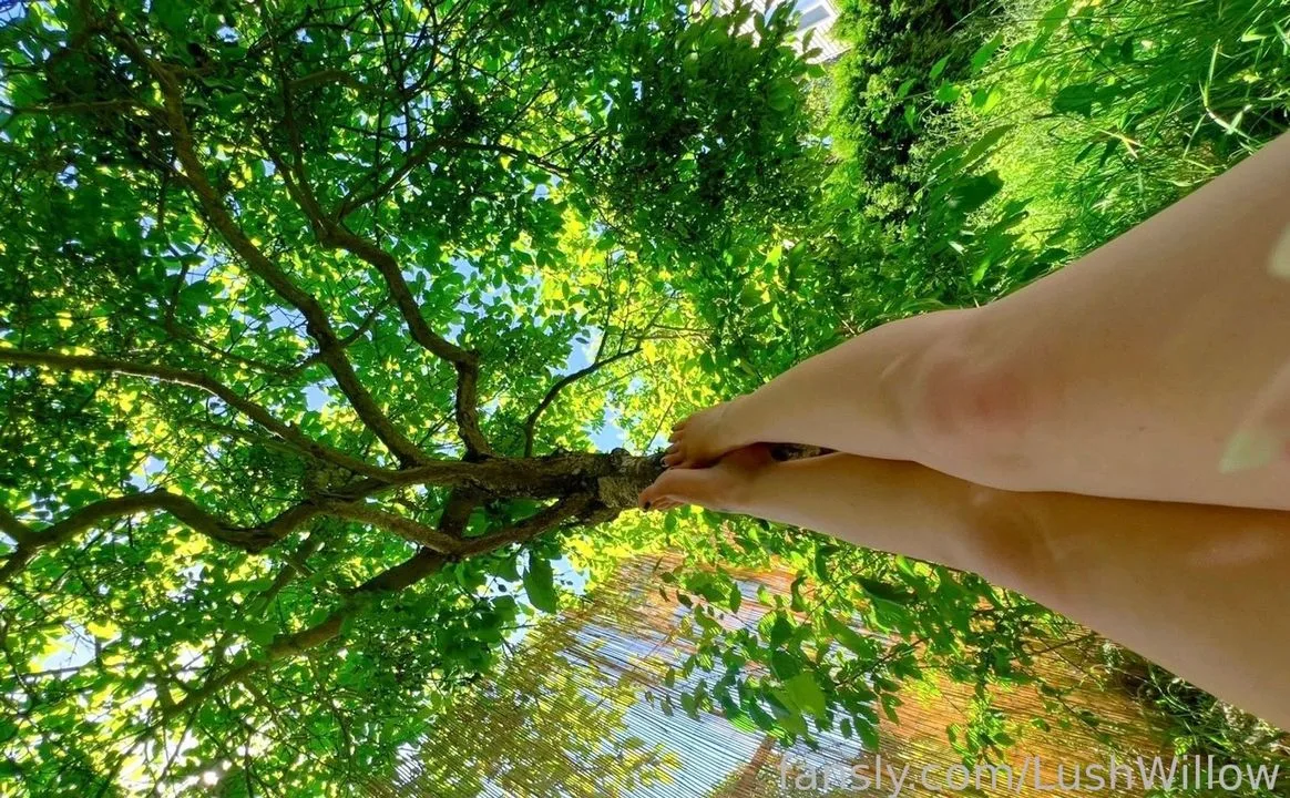 LushWillow — photo 2