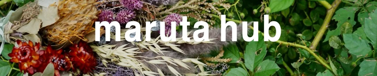 marutahub — photo 2