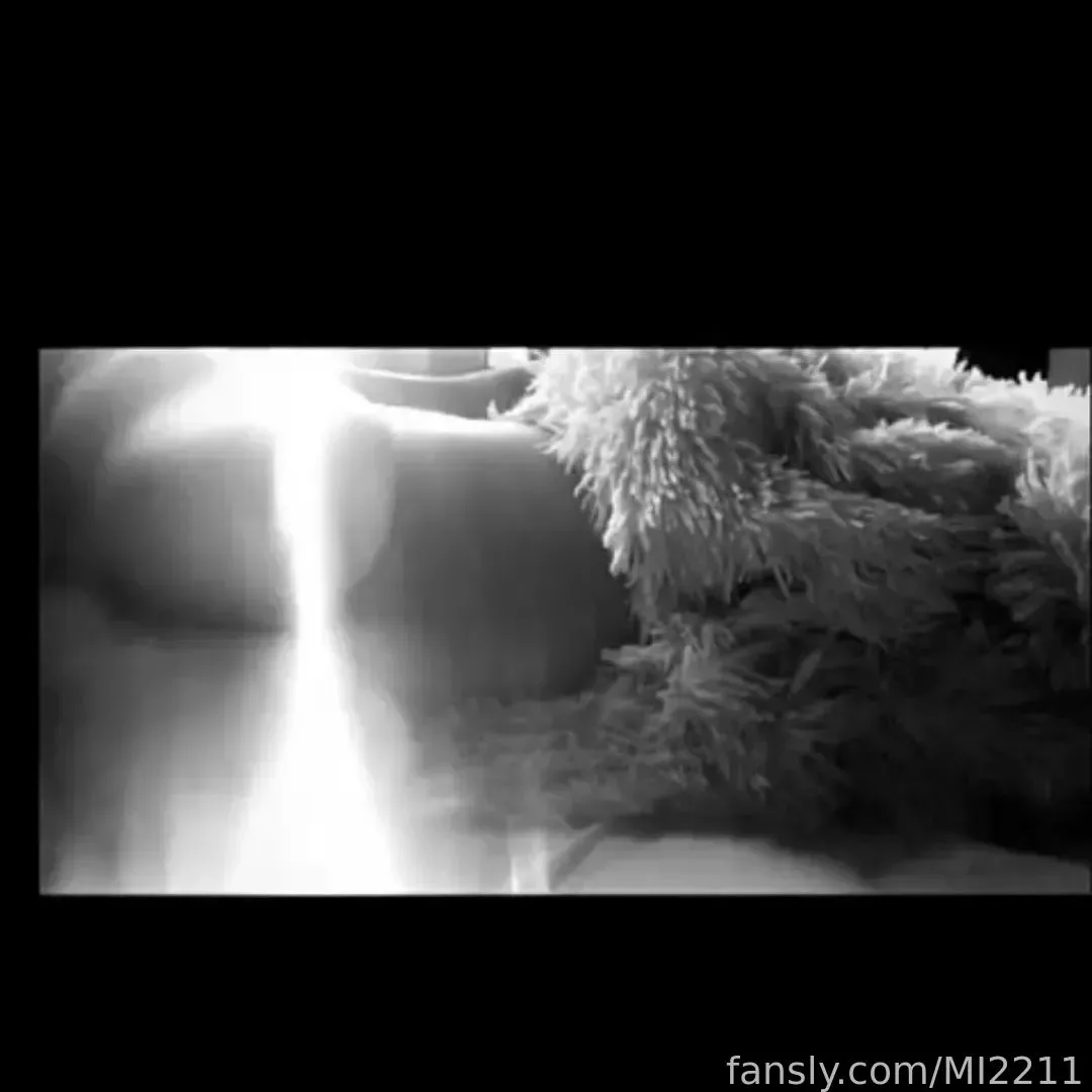 MI2211 — photo 2