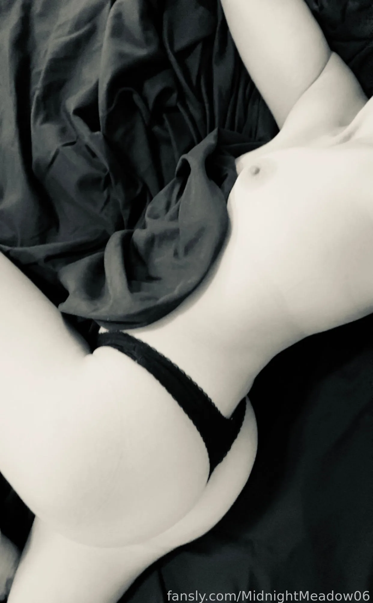 MidnightMeadow06 — photo 2