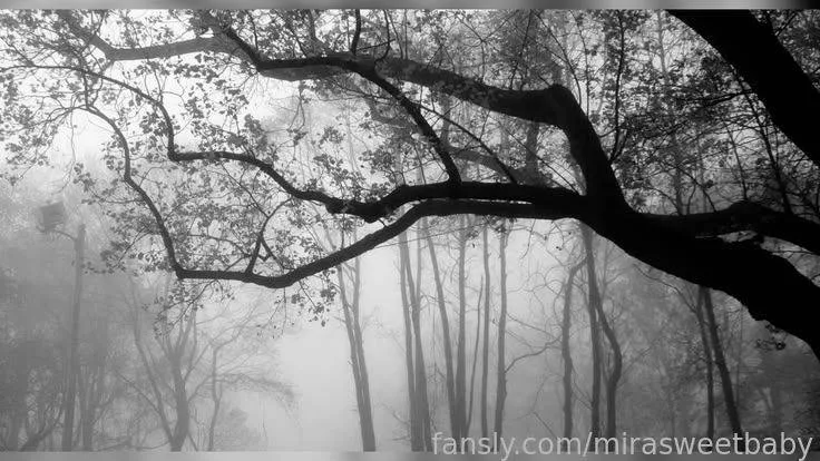 mirasweetbaby — photo 2