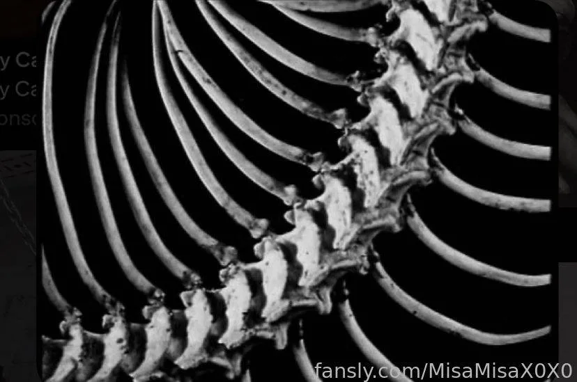 MisaMisaX0X0 — photo 2
