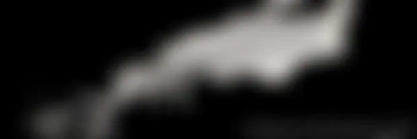 morena_j26 — photo 2