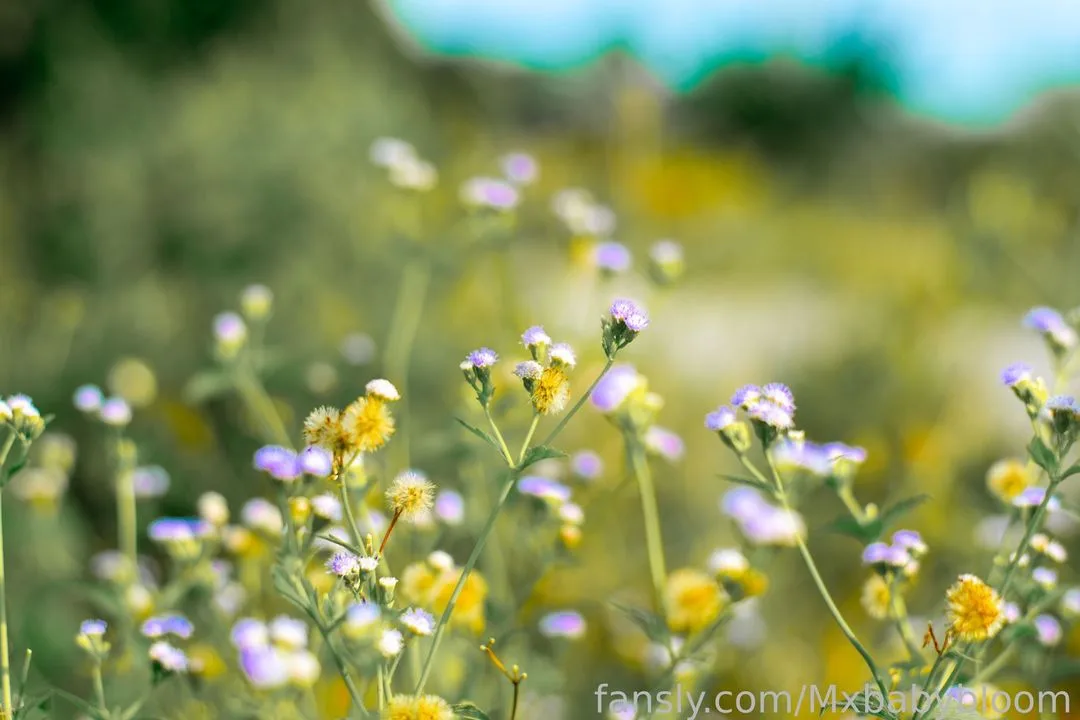 Mxbabybloom — photo 2