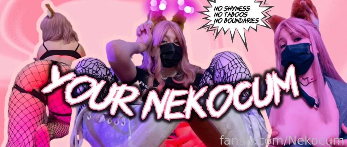 Nekocum — photo 2