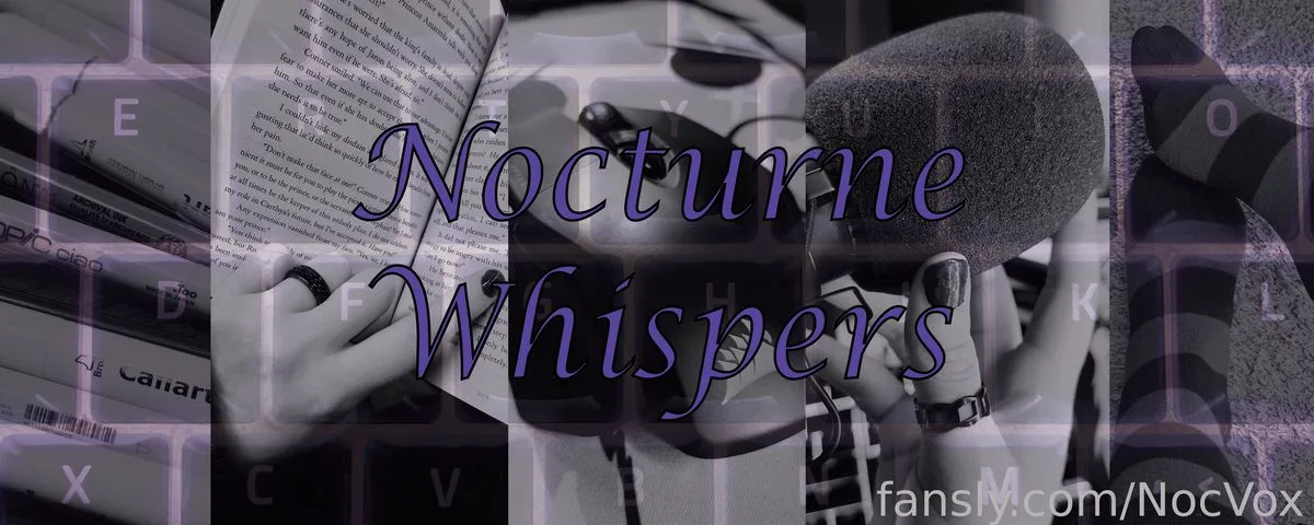 NocVox — photo 2