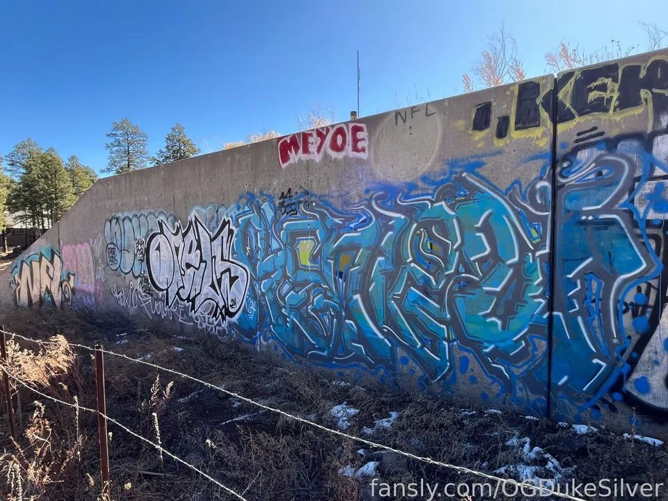 OGDukeSilver — photo 2