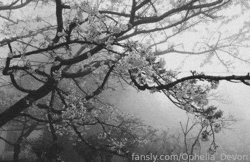 Ophelia_Devon — photo 2