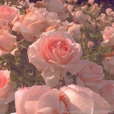 pinkmiaprincess — photo 2