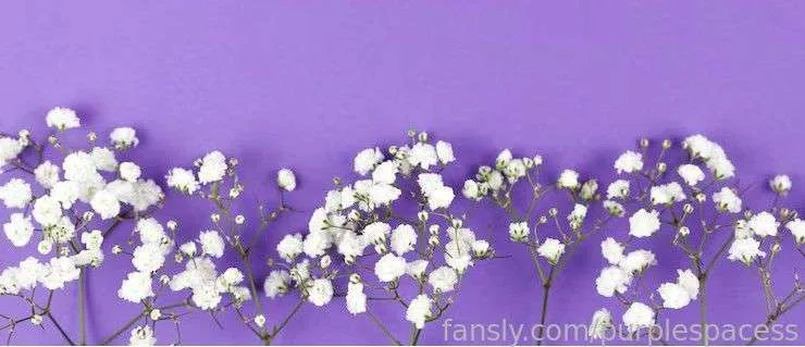 purplespacess — photo 2