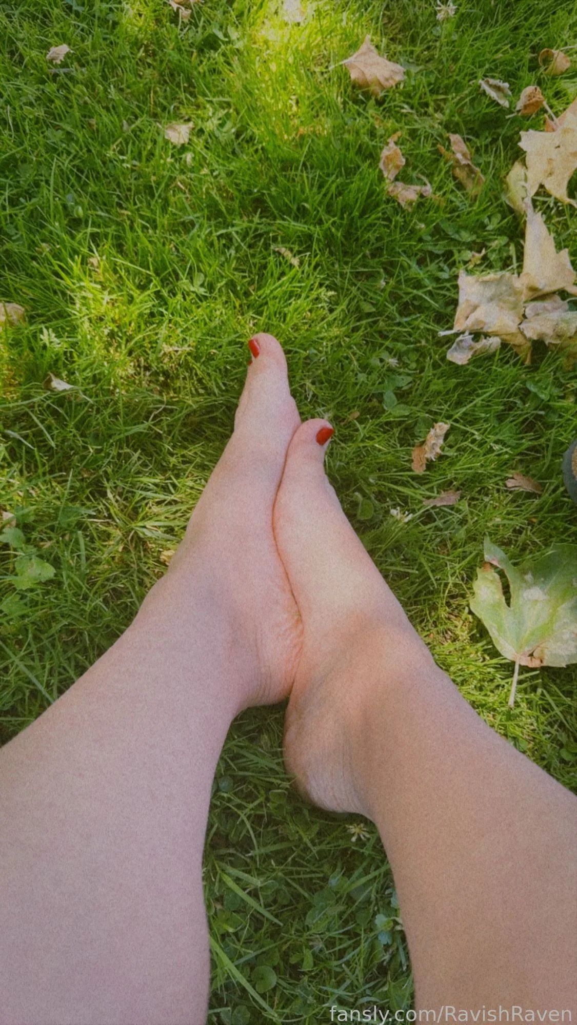 RavishRaven — photo 2