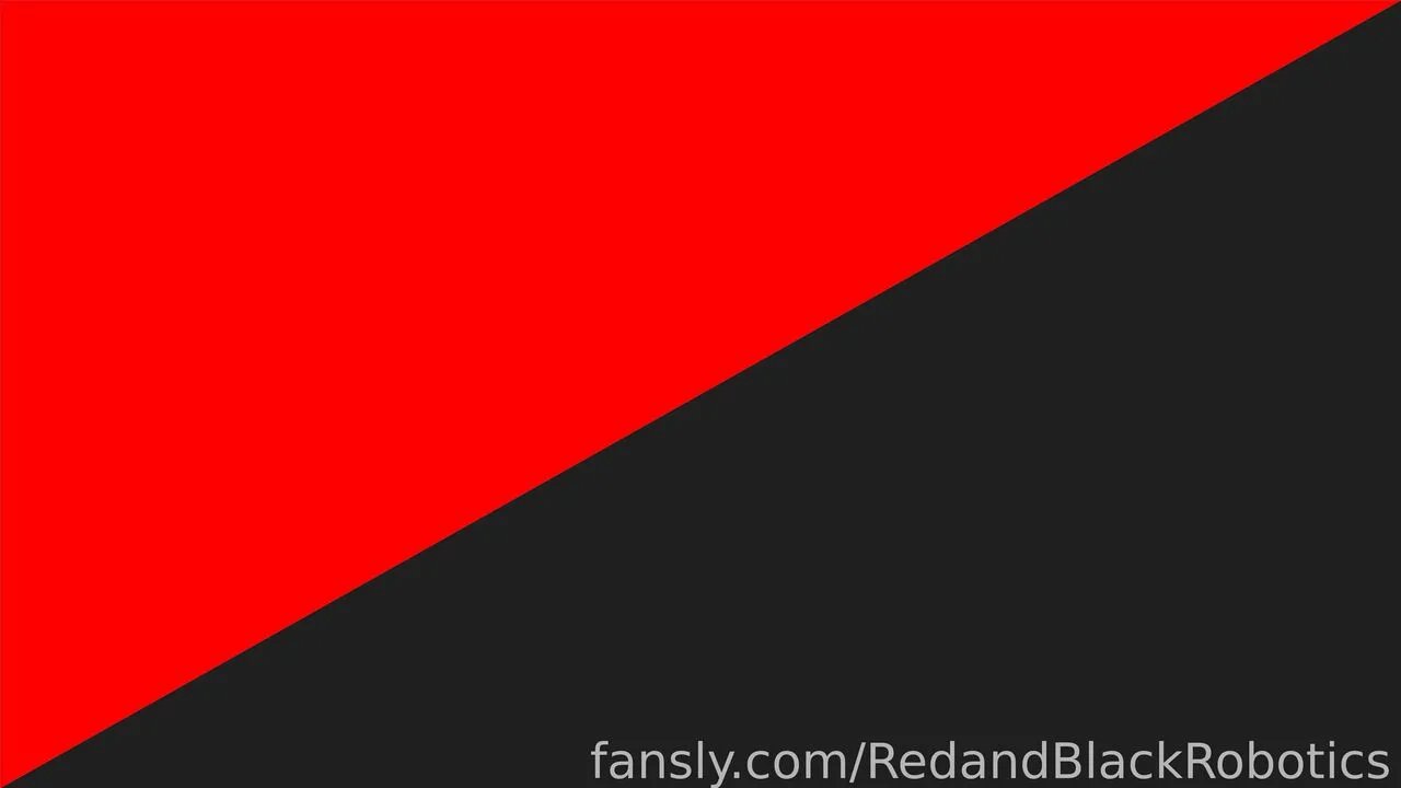 RedandBlackRobotics — photo 2