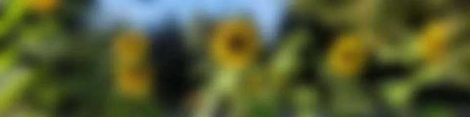 RiverGray — photo 2