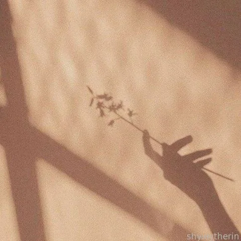 ShySlytherin — photo 2