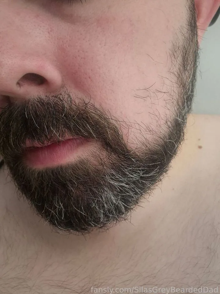 SilasGreyBeardedDad — profile photo