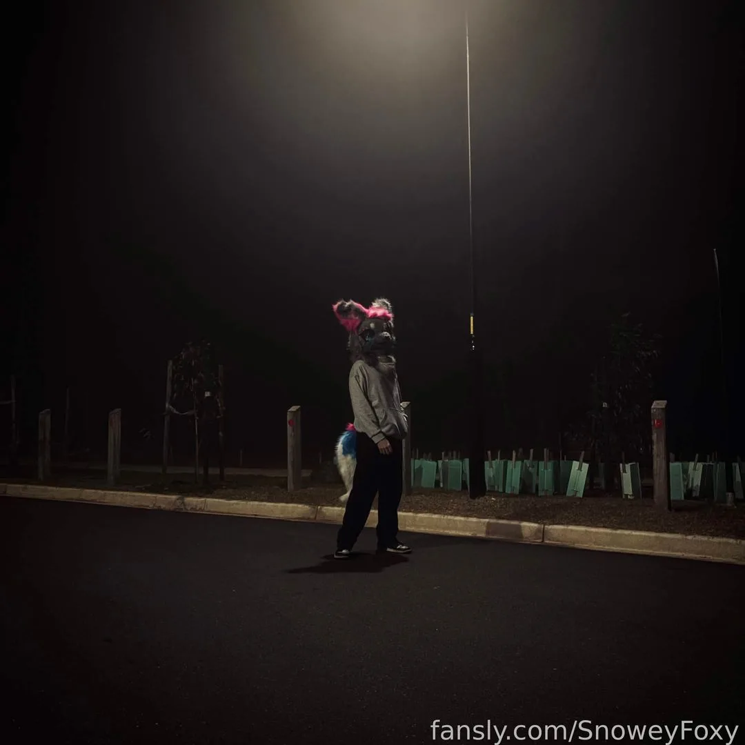 SnoweyFoxy — photo 2