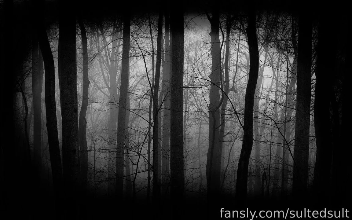 sultedsult — photo 2