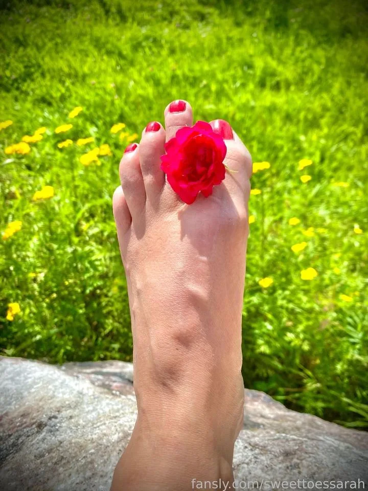 sweettoessarah — profile photo