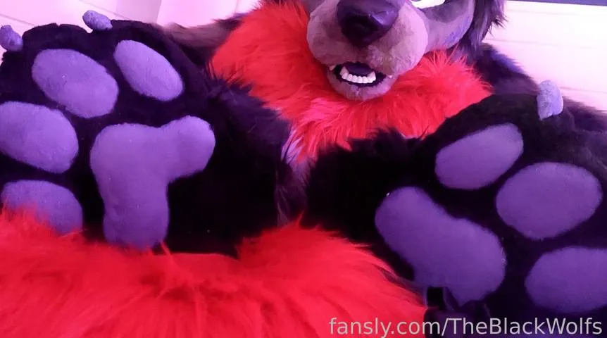 TheBlackWolfs — photo 2