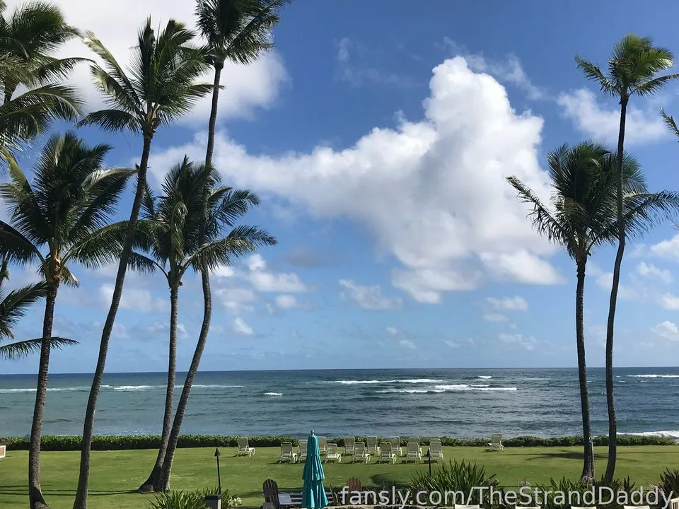 TheStrandDaddy — photo 2