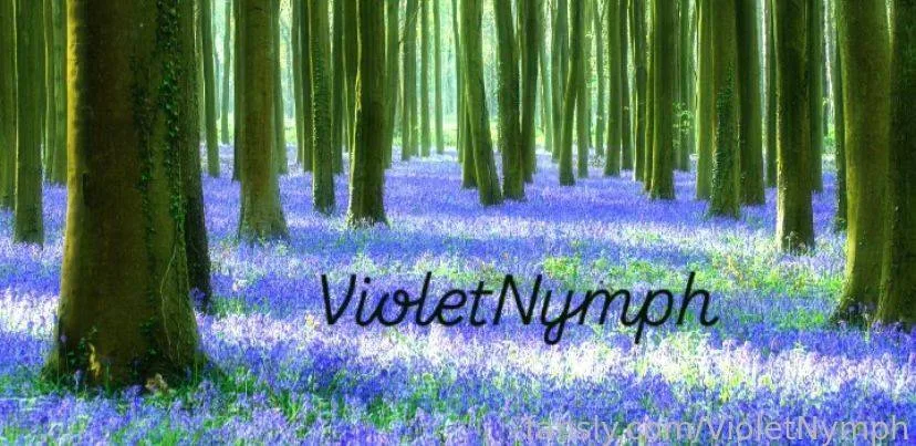 VioletNymph — photo 2