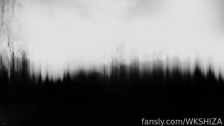 WKSHIZA — photo 2