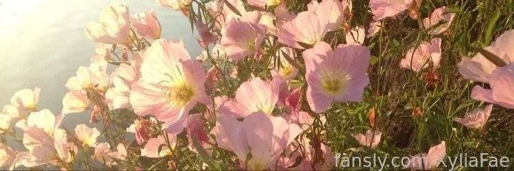 XyliaFae — photo 2
